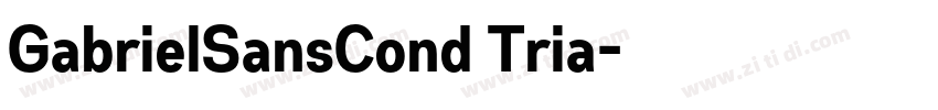 GabrielSansCond Tria字体转换